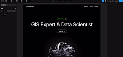 GIS Expert Portfolio