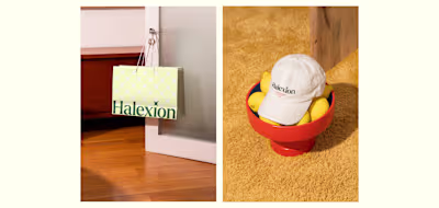 Halexion | Brand Identity Design 