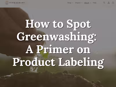 SEO Blog Writing for Sustainability Brand 