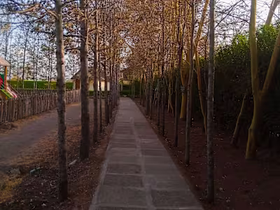 Instagram video creation 