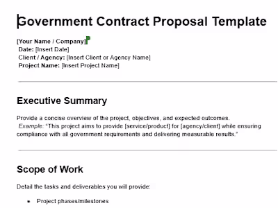 Sample: Government Contract Proposal
