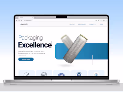 Aneeta India Website Design