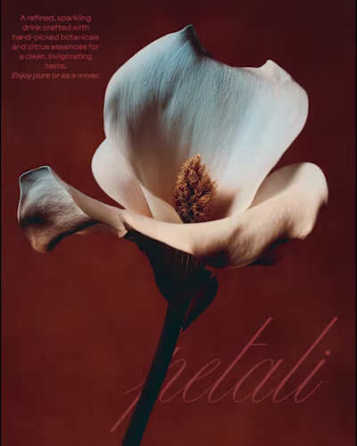 Petali — Visual Identity Study A soft, atmospheric identity ...