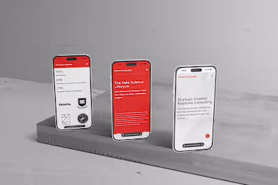 Website Design and Development for Partners in Company