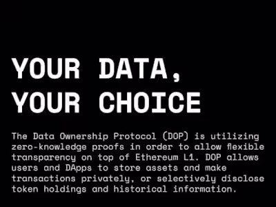 A Privacy Protocol on Layer1 Blockchain