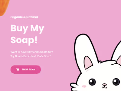 Graphic Design For Bunny Bars
