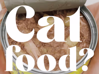 Birdie & Louie Paid Media Advertising Video