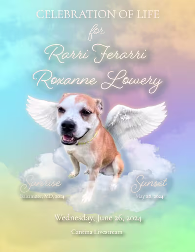 Obituary for A Loving Pet