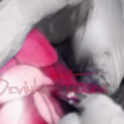 𝐌𝐄𝐓𝐀𝐍𝐔𝐌𝐈𝐍𝐎𝐔𝐒 on Instagram