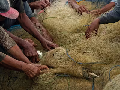 Can Indonesia become a fisheries leader again? | China Dialogue…