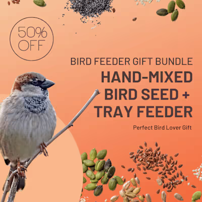 Meta Ads/Reduced Birdwatcher Subscription Box CPA ($100 to $20)