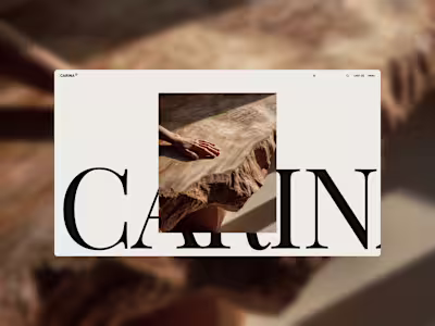 Carina Studio Template