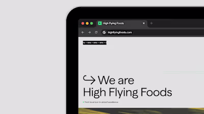 High Flying Foods Branding
