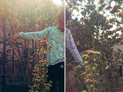 Photo soft light retouching.mov