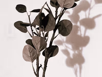 Placeholder 2