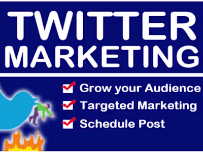 I will do organic twitter promotion marketing
