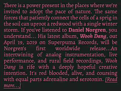 Artist Bio: Daniel Norgren - Wooh Dang (2019)