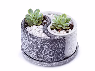Yin Yang design/mold/planter