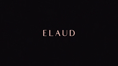 Beauty Brand Style Guide (ELAUD)