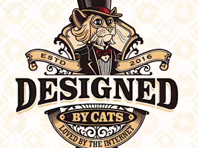 Cool Cats Co: How Small Changes Led to Big Results