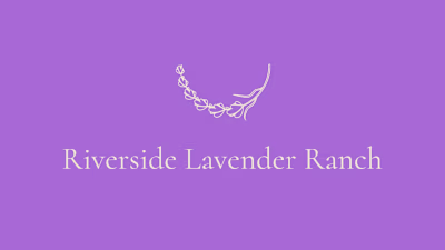 Riverside Lavender Ranch Branding and Website