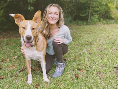 Primal Butcher's Blend Ad