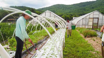 The Farm at Sunnyside is growing healthier