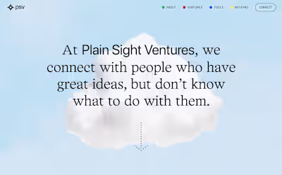 Plain Sight Ventures branding & website
