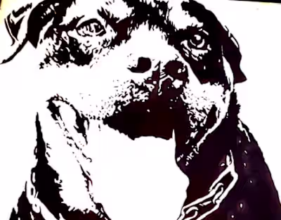 Black and White Paintings