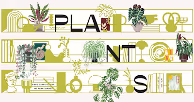 How Many Plants - Indoor and House Plant Resource