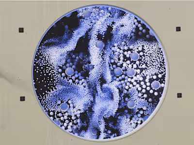 My Sunday Reading Spot