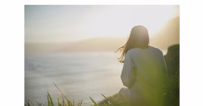 The Mindful Reset Program