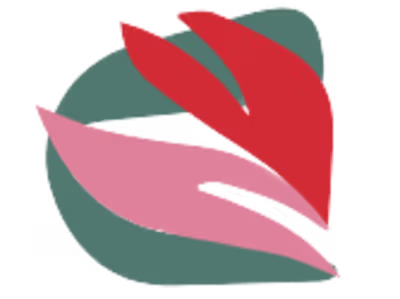 Insurance Expert Hub - Blog