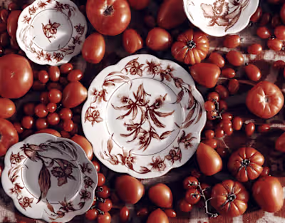 ROUGE DE FER :: Behance