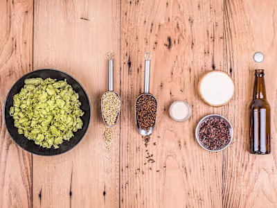 Craft Beer Recipe Writer