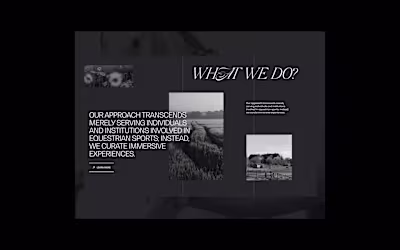 Equine Design Studio