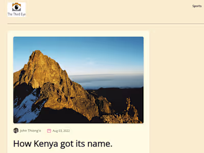 Frontend Developer, The ThirdEye Africa