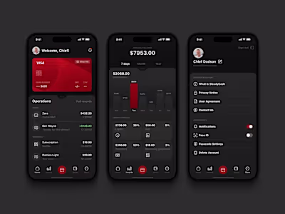 SteadyCash Fintech Mobile App Development