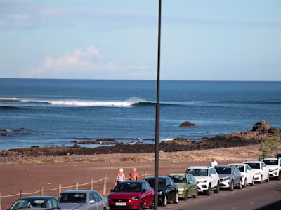 Spearheaded Marketing and Product Marketing