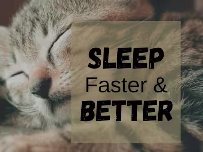 SEO Optimized High Ranking Blog Content 