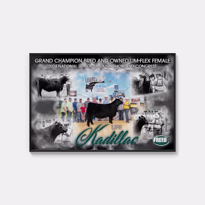 Freed Christmas Banner #2