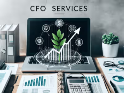 Virtual CFO Services