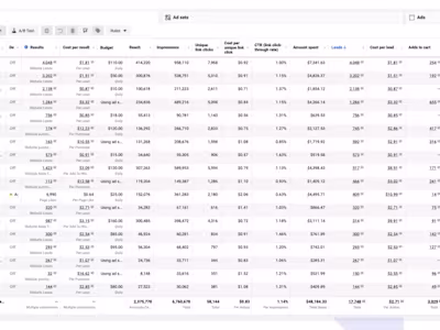 Meta Ads Management for Kickstarter Campaign