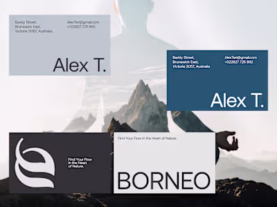 Borneo - visual identity. Please check my profile for full e...