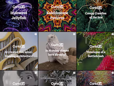 CurioEd: Brand Management and Content Writing