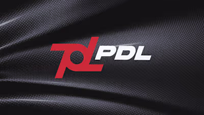 PDL | Logo Design & Brand Identity