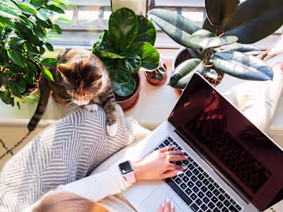 Executive Workflow Optimization