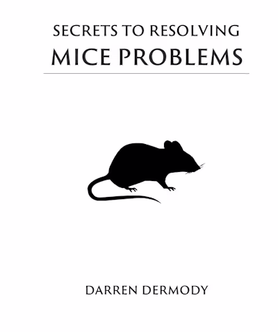 Book Translation 