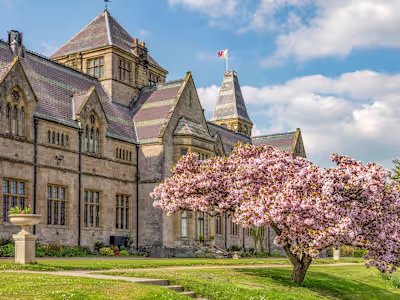 Market Expansion Strategy for an international education company