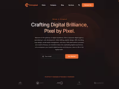 Entropixel Agency Website Development